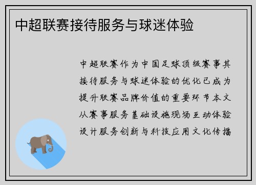中超联赛接待服务与球迷体验